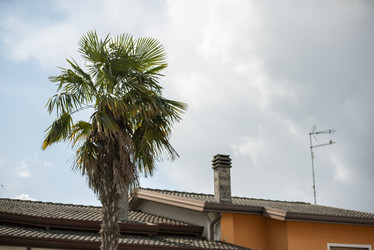 Similar image 22760076