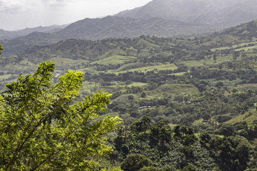 Similar image 22766874