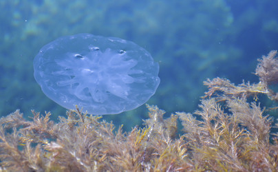Similar image 22653321