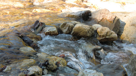 Similar image 22767404