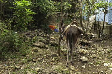 Similar image 22750136