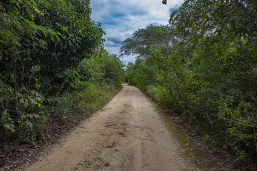 Similar image 22750539