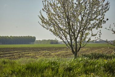 Similar image 22766845