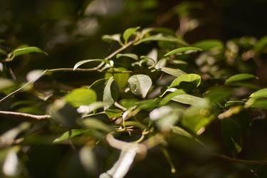 Similar image 22767018