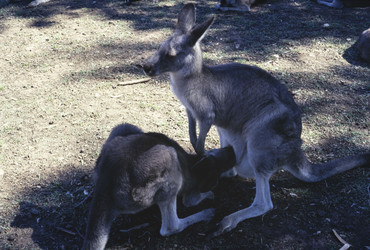 Similar image 22749827