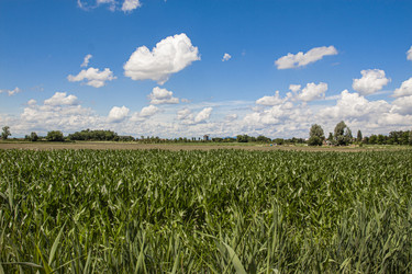 Similar image 22750025