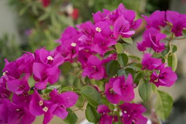 Similar image 22756117