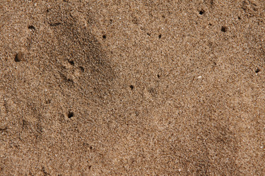 Similar image 22748516