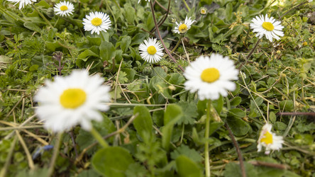 Similar image 22748960