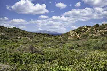 Similar image 22749346