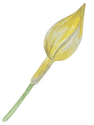 Similar image 22650644
