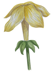 Similar image 22650645