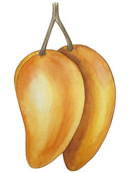 Similar image 22650649