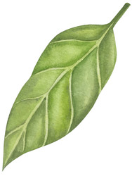 Similar image 22650658