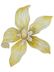Similar image 22650659