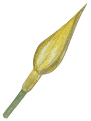 Similar image 22650664