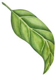 Similar image 22650665
