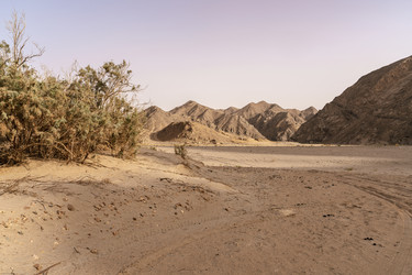 Similar image 22748320