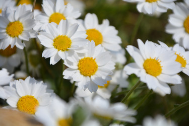 Similar image 22749268