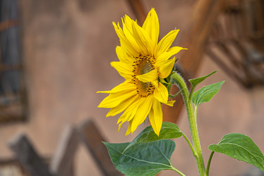 Similar image 22749948