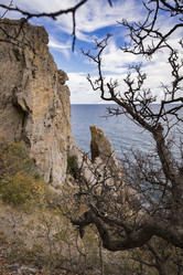 Similar image 22653272