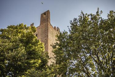 Similar image 22767487