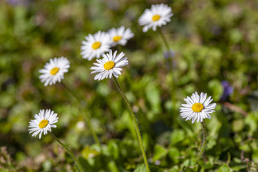 Similar image 22748786