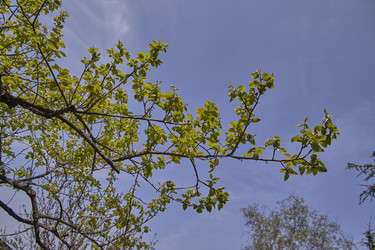Similar image 22750029