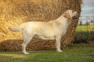 Similar image 22750388