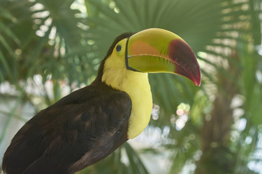 Similar image 22750423