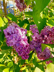 Similar image 22646016