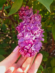 Similar image 22646021