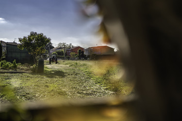 Similar image 22764116