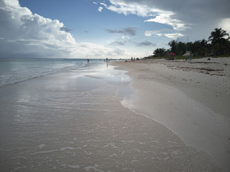 Similar image 22766849