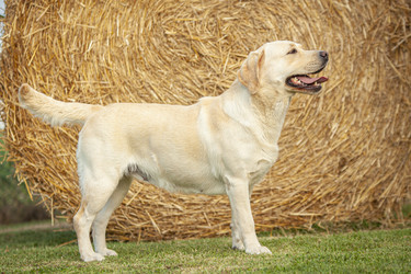 Similar image 22748964