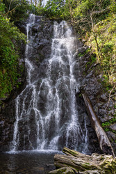Similar image 22755862