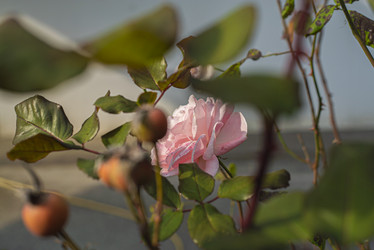 Similar image 22749035