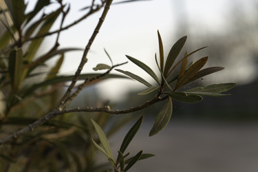 Similar image 22763436