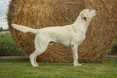 Similar image 22748521