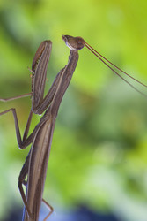 Similar image 22748170