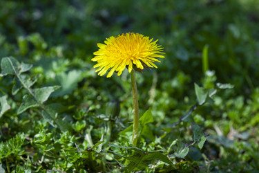 Similar image 22763538