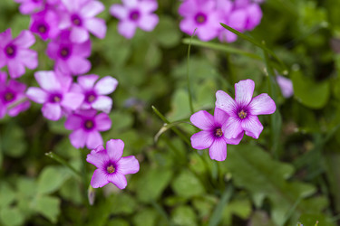 Similar image 22767248