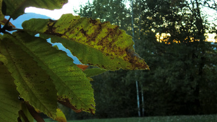 Similar image 22746613