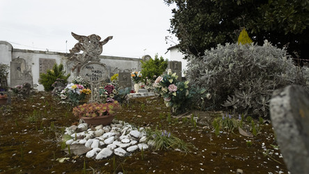 Similar image 22750033