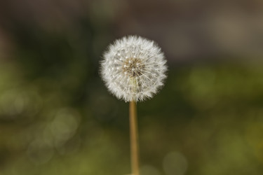 Similar image 22748448