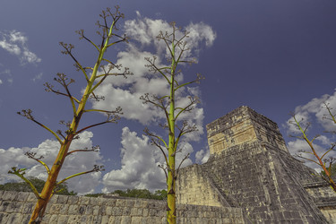 Similar image 22750189