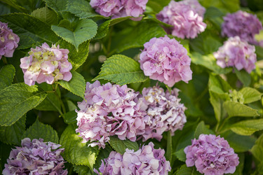 Similar image 22750510