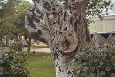 Similar image 22763860