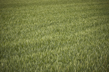Similar image 22748676
