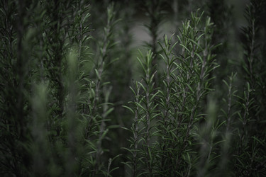 Similar image 22756199